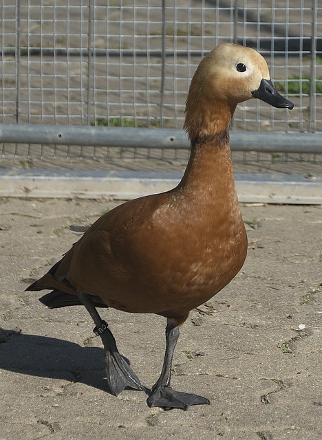 环境集团不