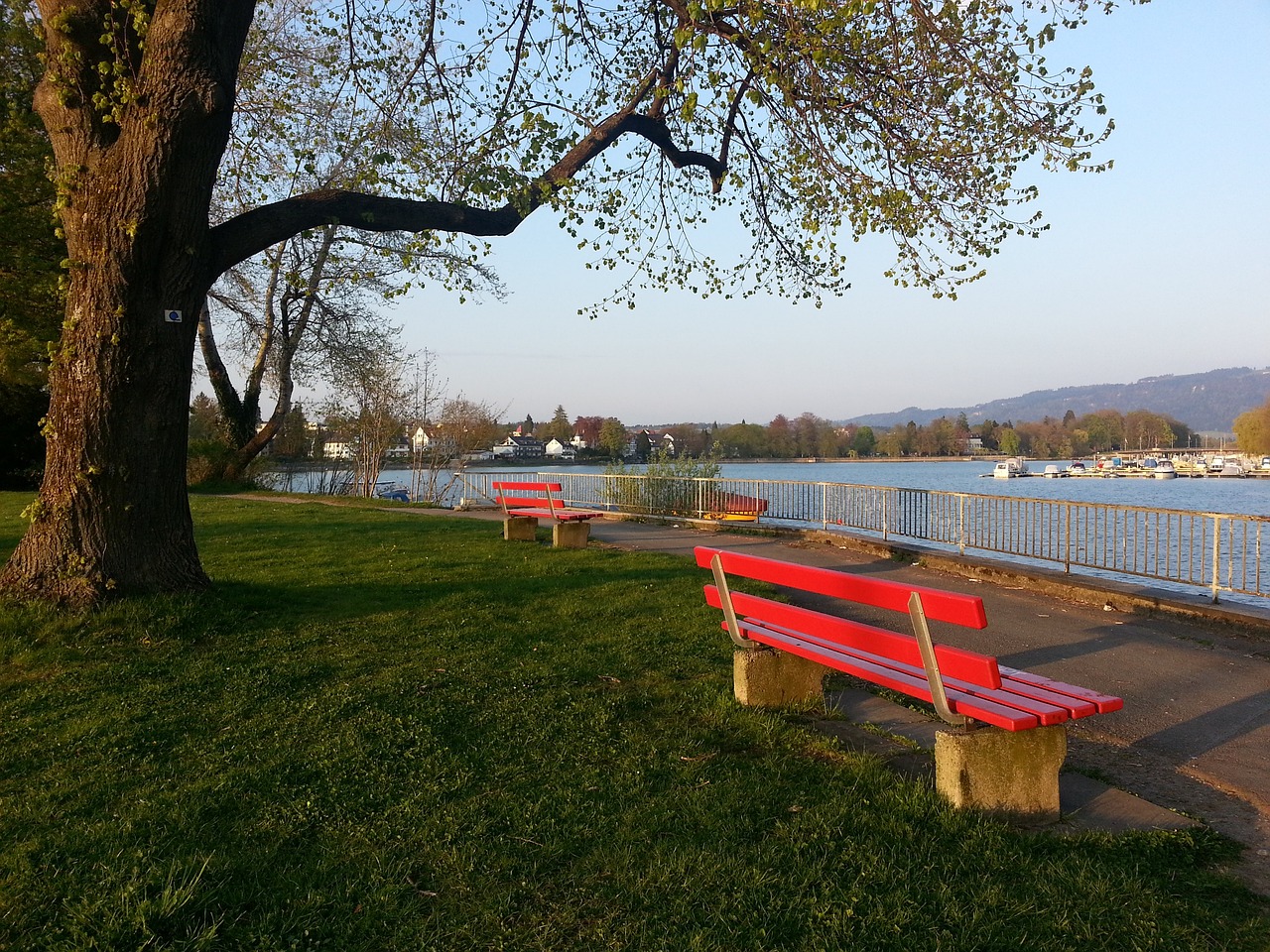 不是软柿子 不是软柿子